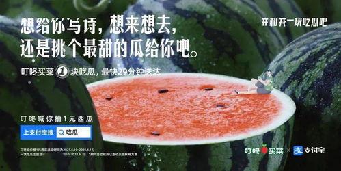 吃瓜文案现代,揭秘娱乐圈那些鲜为人知的幕后故事