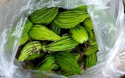 云南大妈吃瓜,揭秘街头美食背后的故事