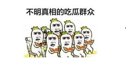 清晨吃瓜群众,吃瓜群众的日常观察